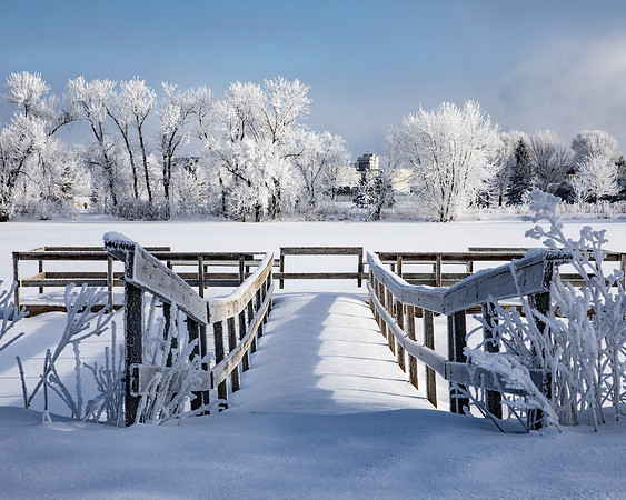 Mill Pond morning hoarfrost